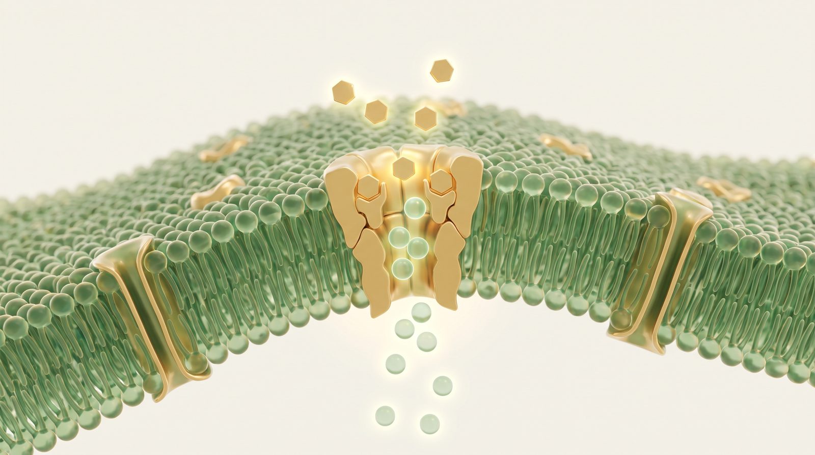 Illustration: the molecule locks onto the parasite's nerve channel
